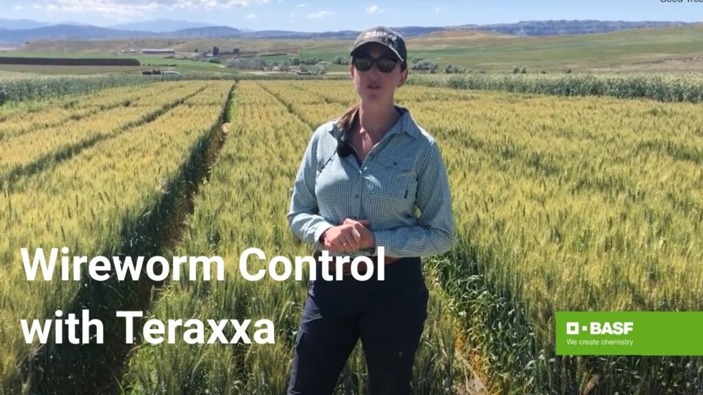 Reddy Anna ID: Comprehensive Guide, Benefits, and the Role of the Reddy Book Club